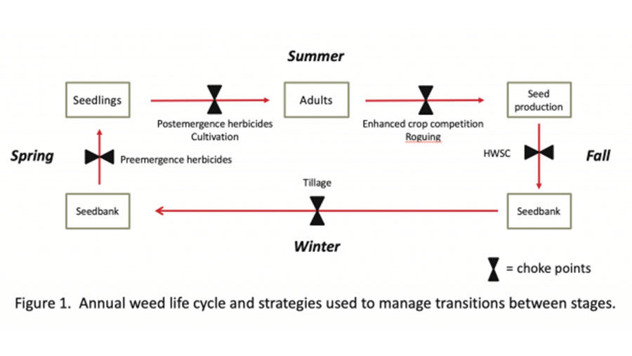 Weed control graphic